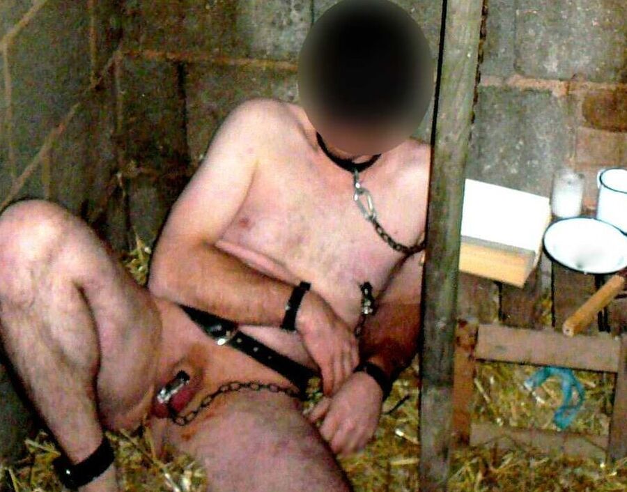 Slave slut rainer in usage