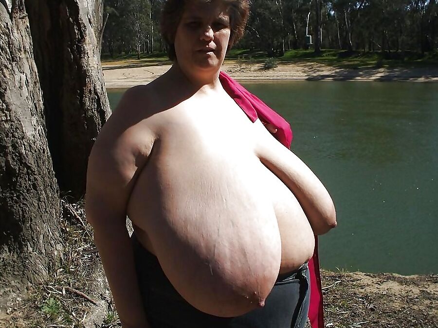 Coat hanger on udders