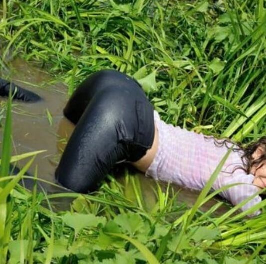Wet grils