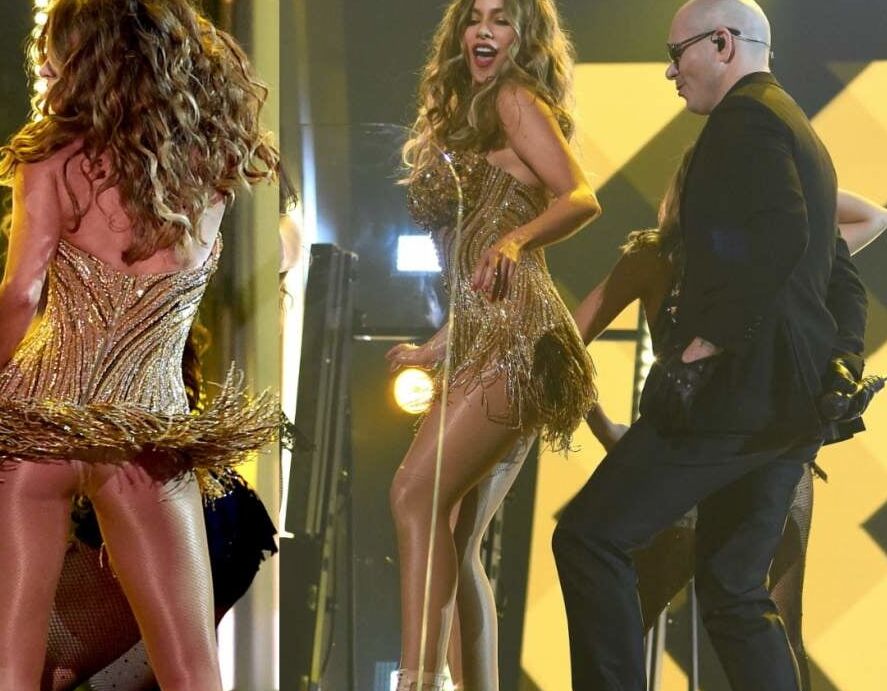La puta Vergara