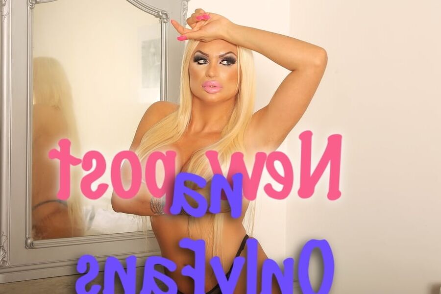 Transexsulka Novi Sad