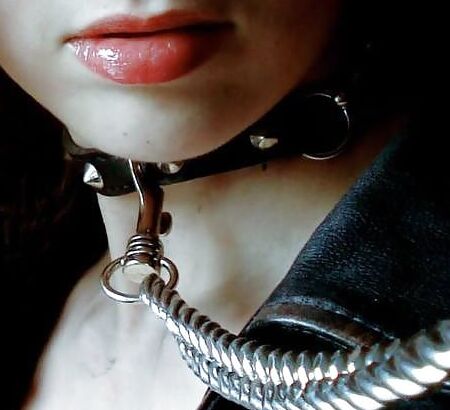 BDSM Pet Play