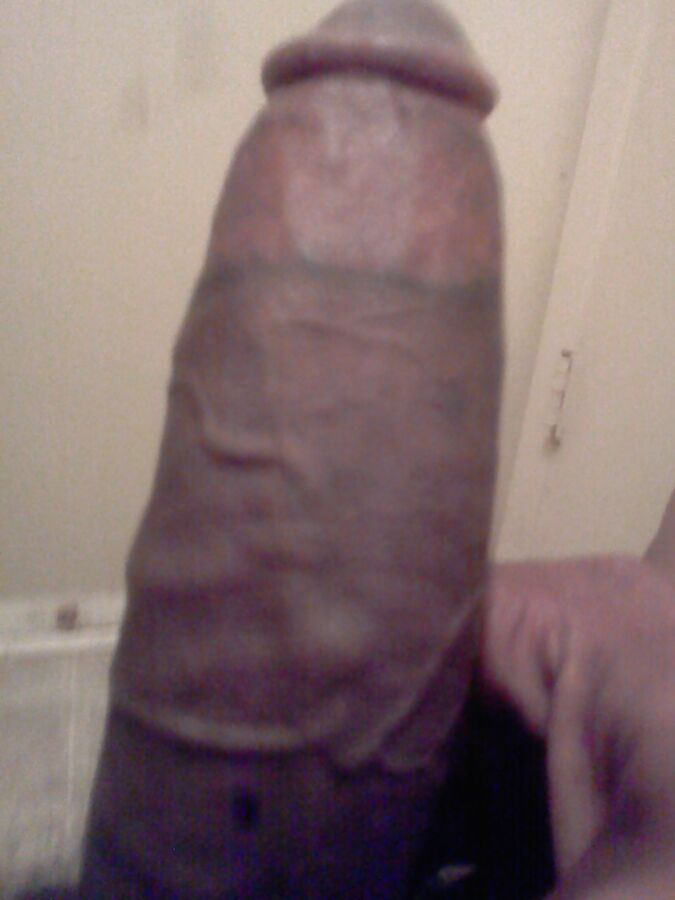 j&;aime lecher des couilles