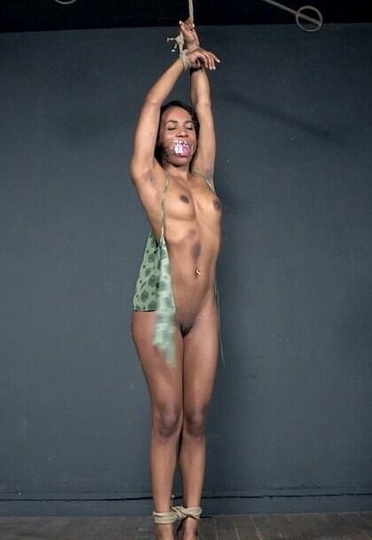 Ebony submission