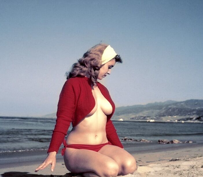 Sue Snow, vintage model