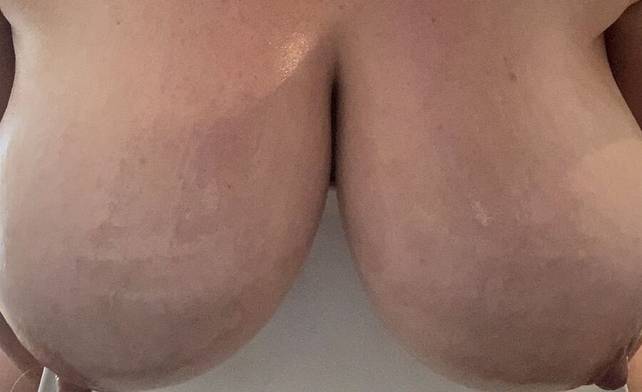 Cow udders