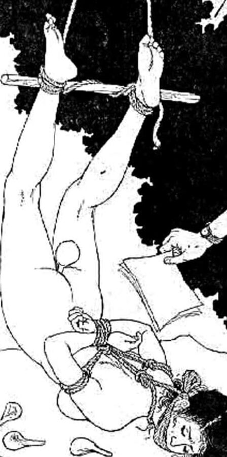 Comic BDSM &amp; Bondage Japanese