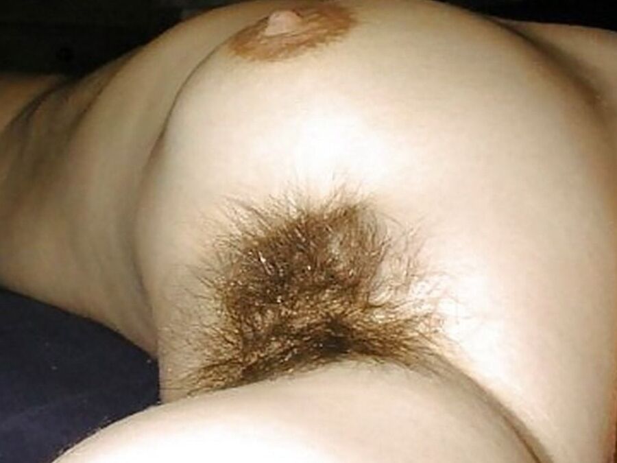 Hairy variety, pussy, pits, sucking cock