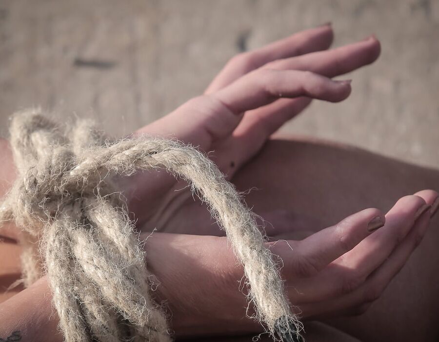 Tied outdoors