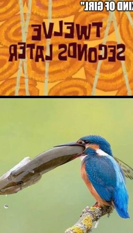 Funny