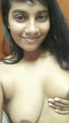 Ammale