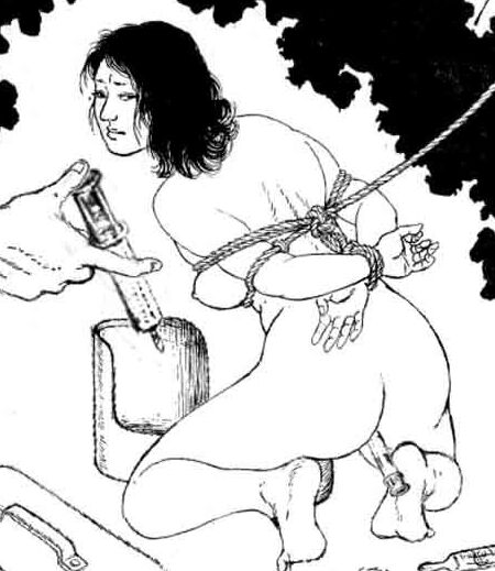 Comic BDSM &amp; Bondage Japanese