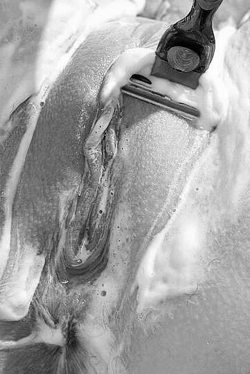 Pictures in black and white