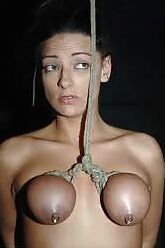 Bound Tits