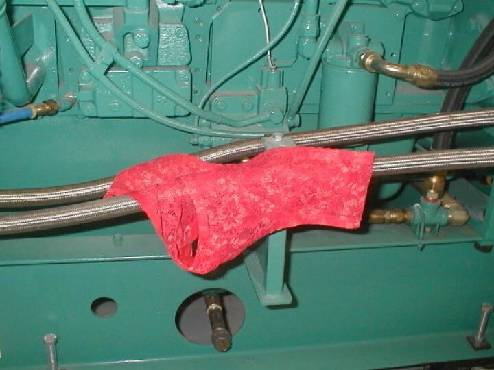 Cummins (not cum in) Panties