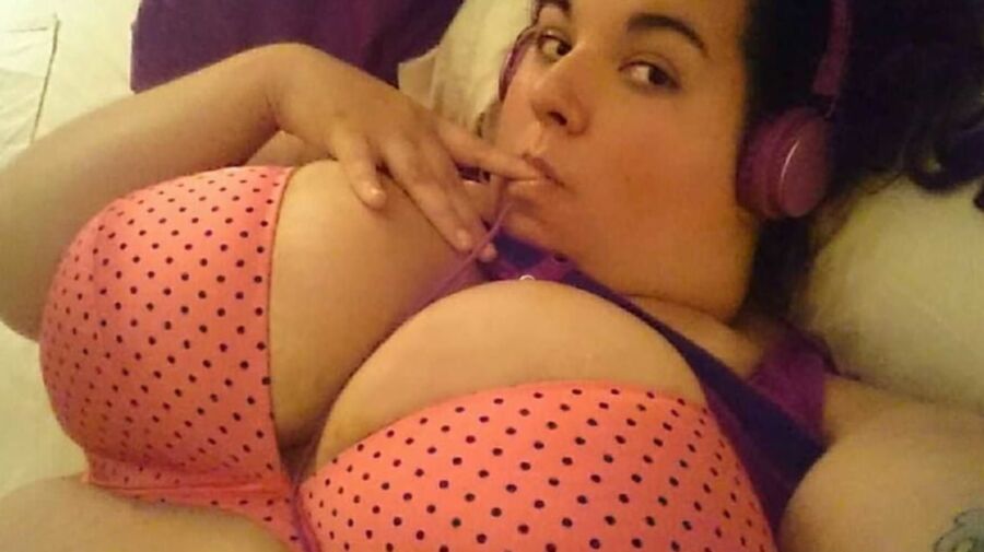 Fat pig