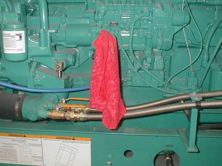 Cummins (not cum in) Panties