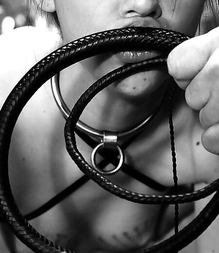 BDSM Pet Play