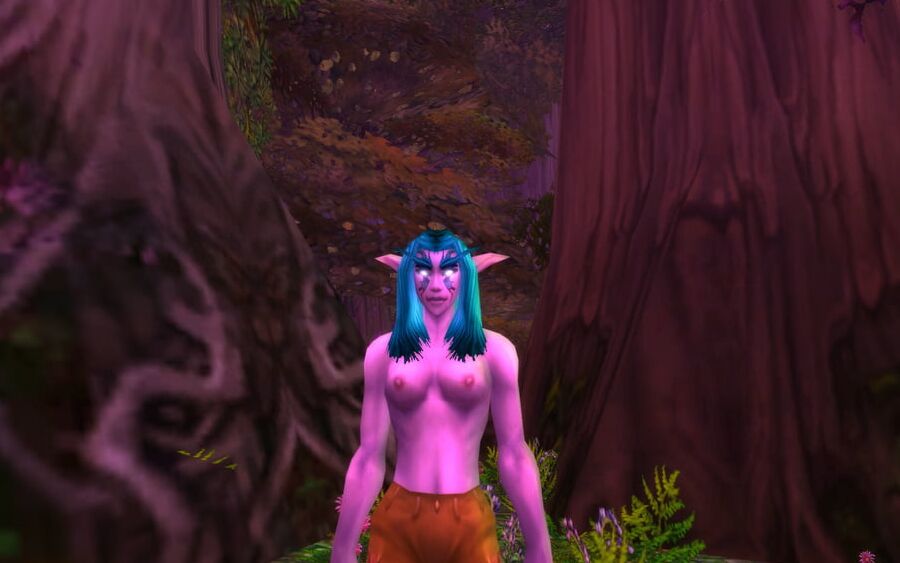 Night elf (Classic model)