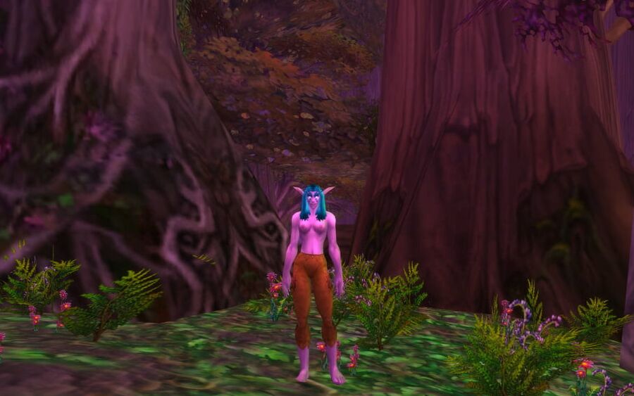 Night elf (Classic model)
