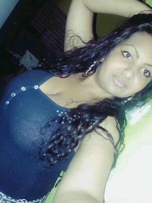 Rumena troia
