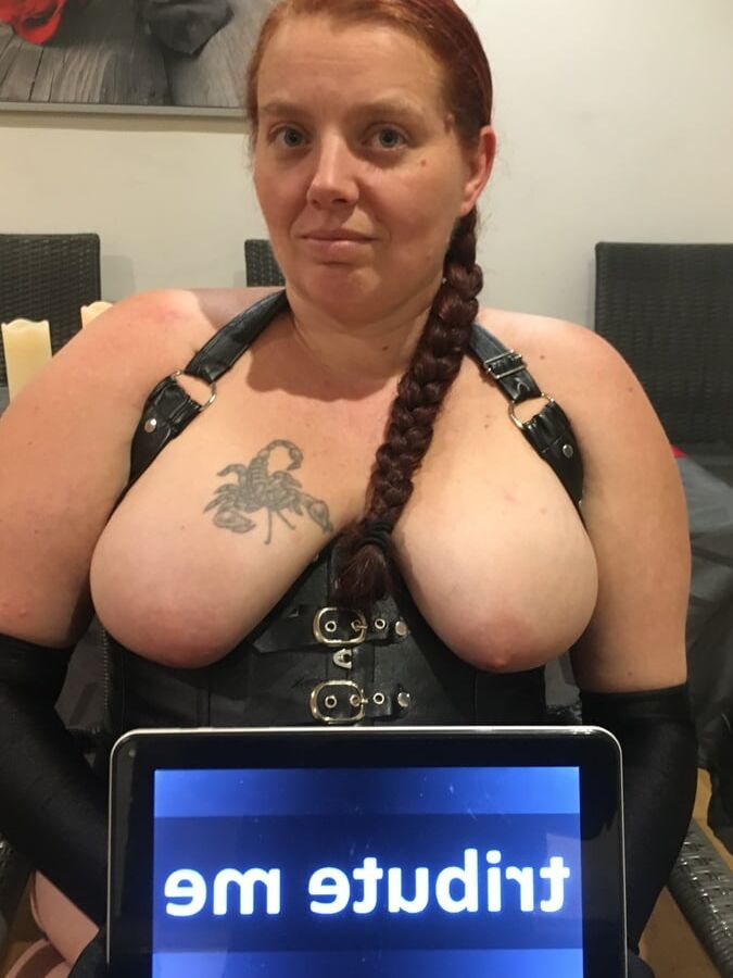 Tribute wanted