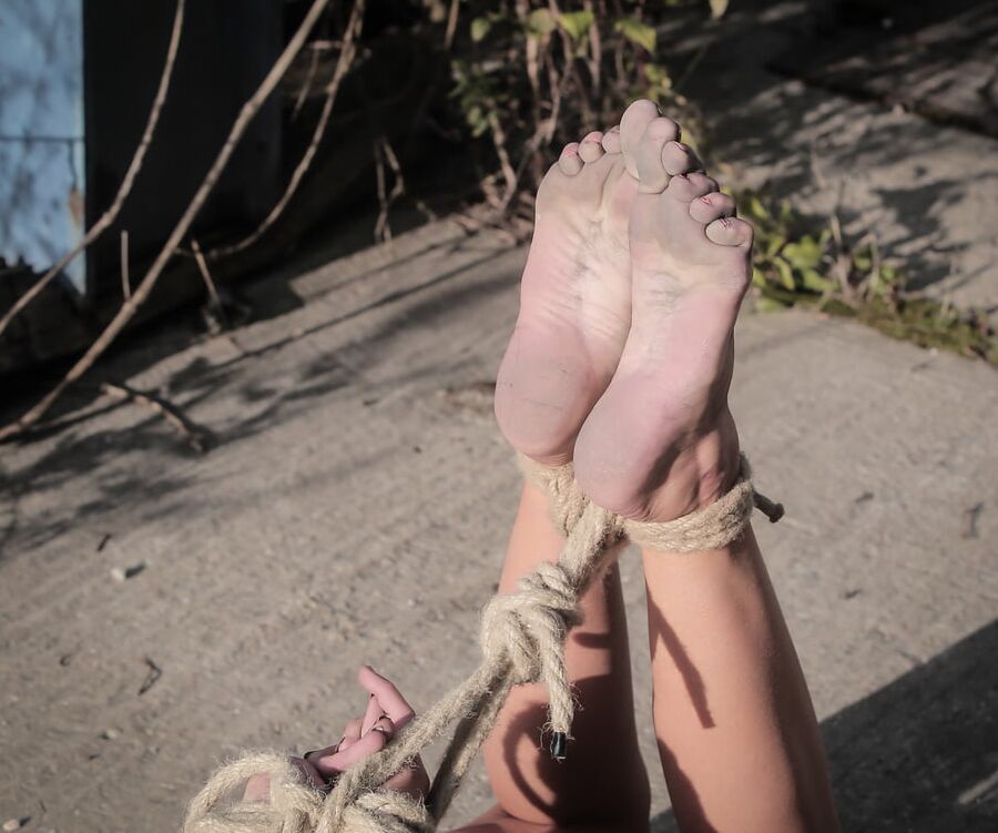 Tied outdoors