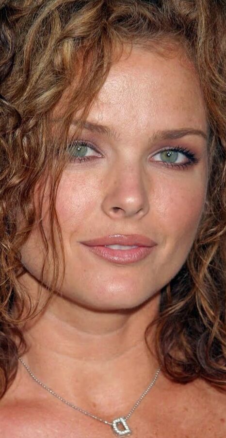 Dina Meyer