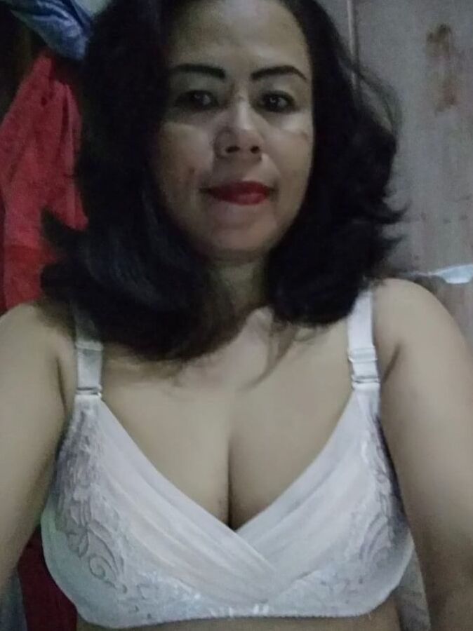 Pecinta stw