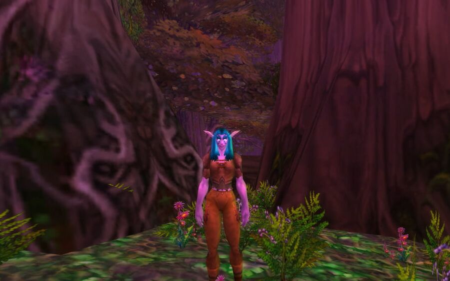 Night elf (Classic model)