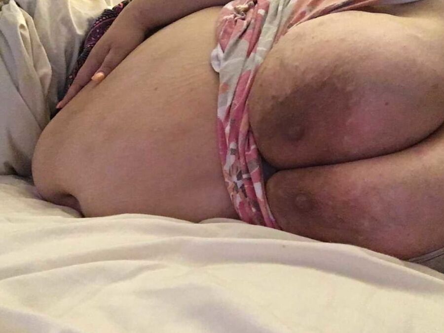 Fat pig