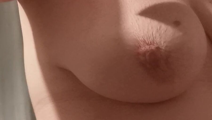 Ses seins