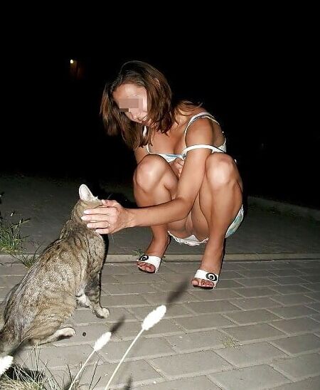 Joli petit minou...