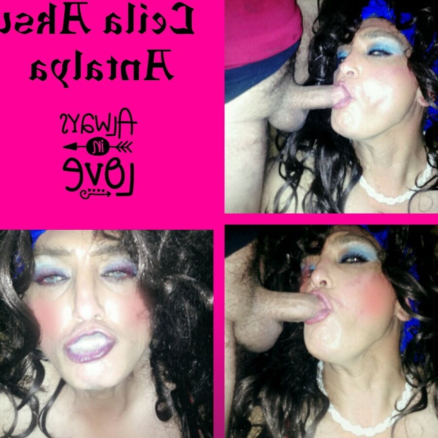 travesti leila