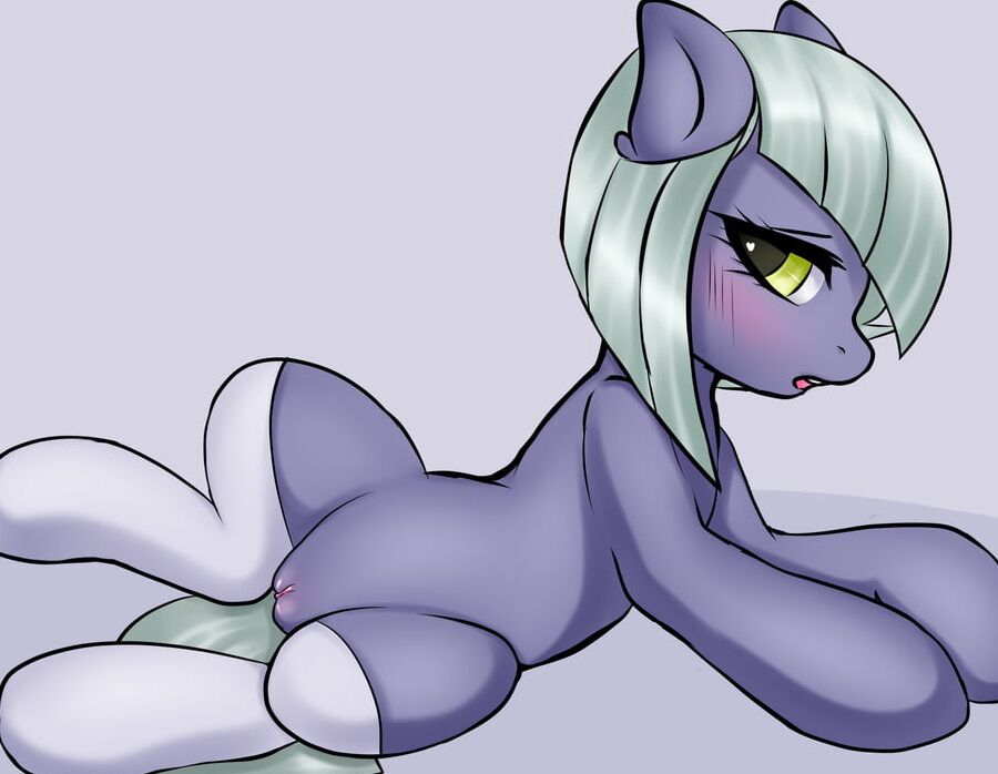 MLP