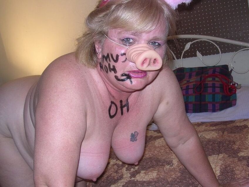 BDSM pigs