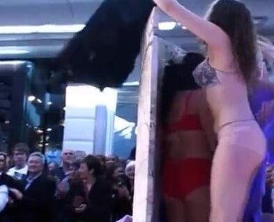 Nicky&;s Catwalk Show