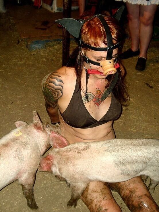BDSM pigs