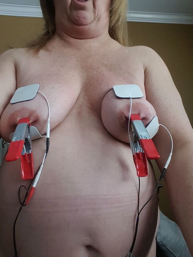 Pig clamped udders
