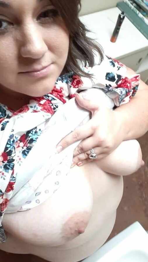 Fat sexy cow