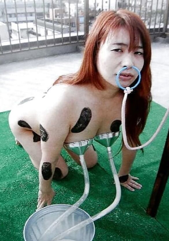 Girl in milking
