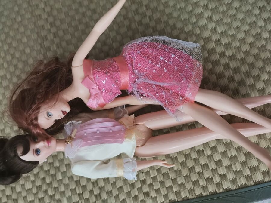 my sex barbie doll