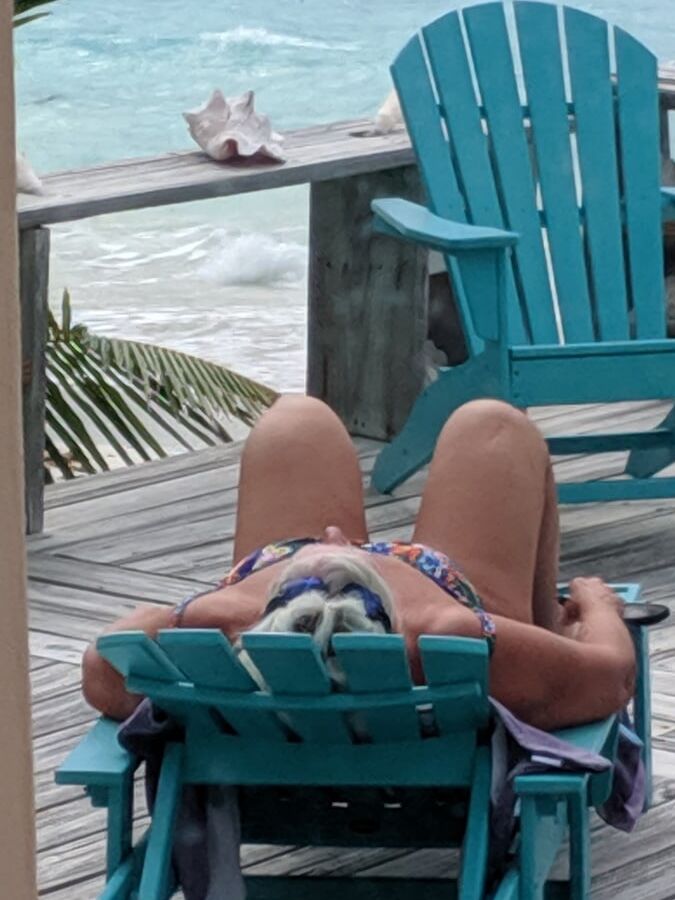 Miss Piggy at the beach