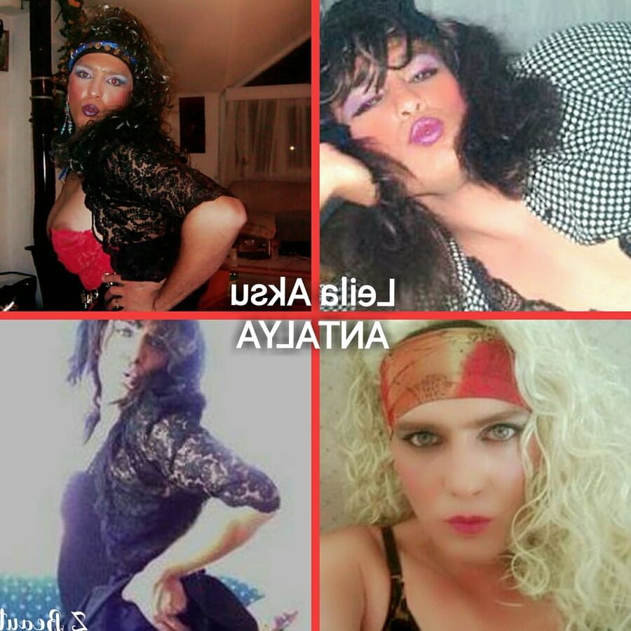 travesti leila