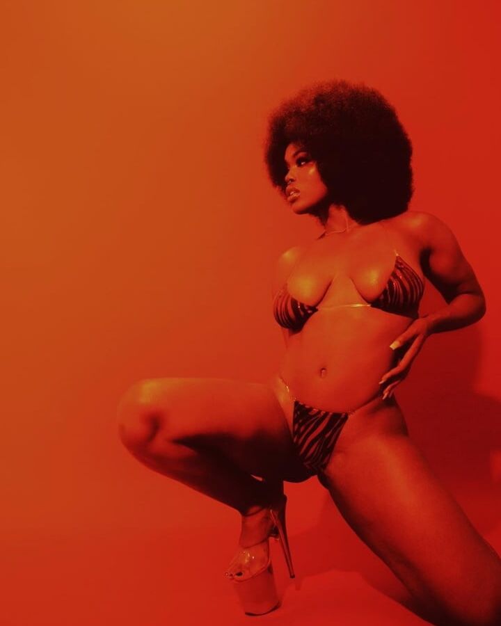 Tanerelle