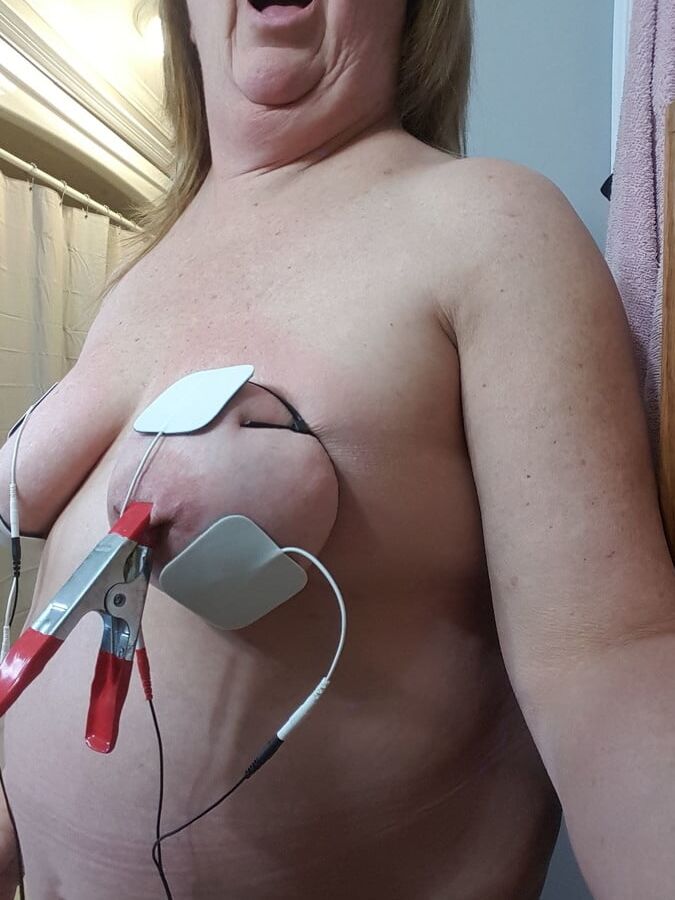 Pig clamped udders
