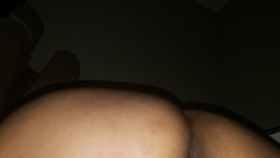 Mi perra