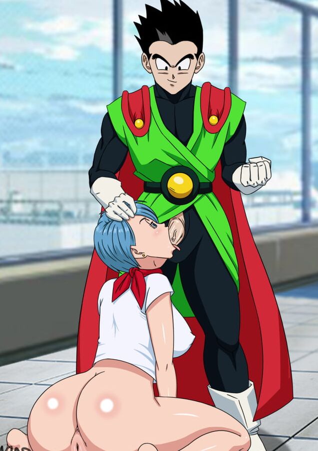 Bulma Collection