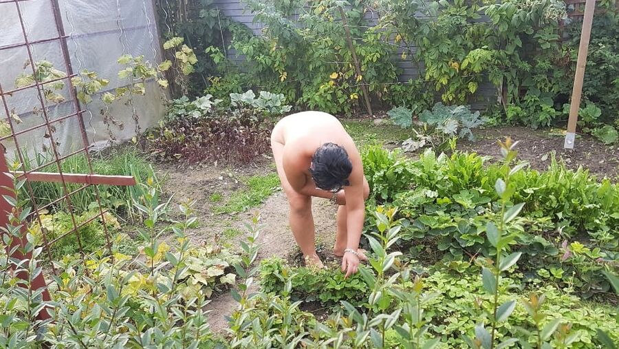 Gartenarbeit