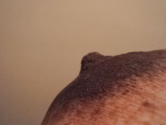 BLACK NIPPLES
